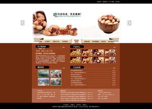 网页与网站设计 构建优质在线体验的关键要素